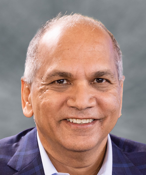 Ravi Vig Board of Directors